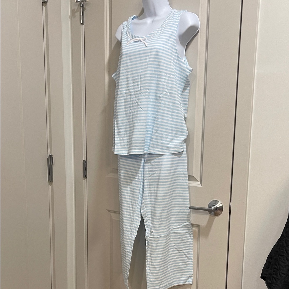 Midnight by Carole Hochman Blue Striped Pajama Set